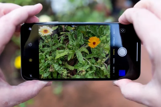 11 photography tips and tricks for better smartphone photos
